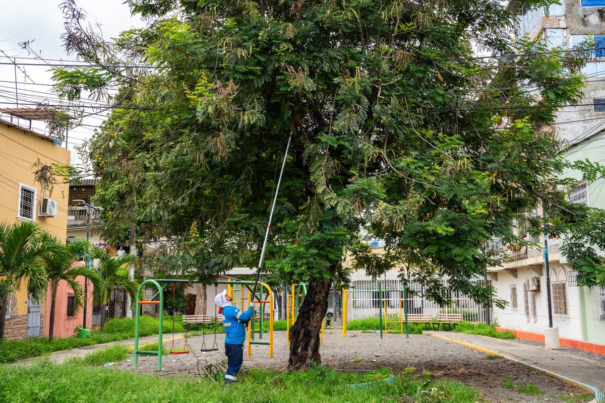 Cumpliendo con nuestro cronograma de planificación, avanzamos con el mantenimiento de parques y áreas verdes en el sector Guayacanes; el fin de semana atendimos más de 25 espacios durante “la jornada de recuperación” y hoy continuamos con estas labores <a href="/taticoronelf/">TatianaCoronel</a> <a href="/alcaldiagye/">Muy Ilustre Municipalidad de Guayaquil</a>