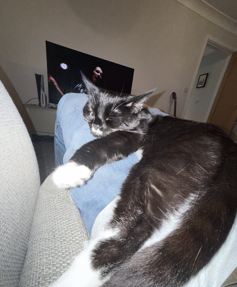 ベンジーボックス tweet media