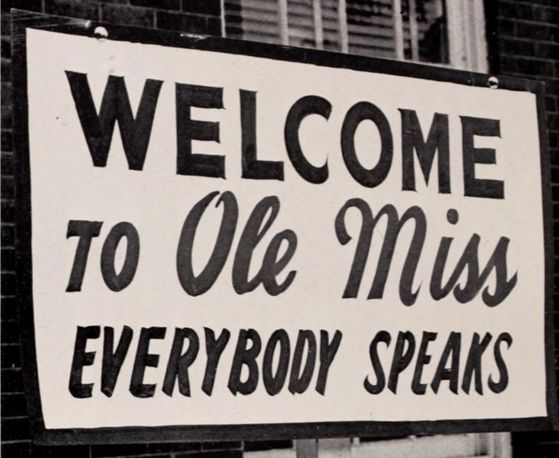 Starke T. Miller tweet media