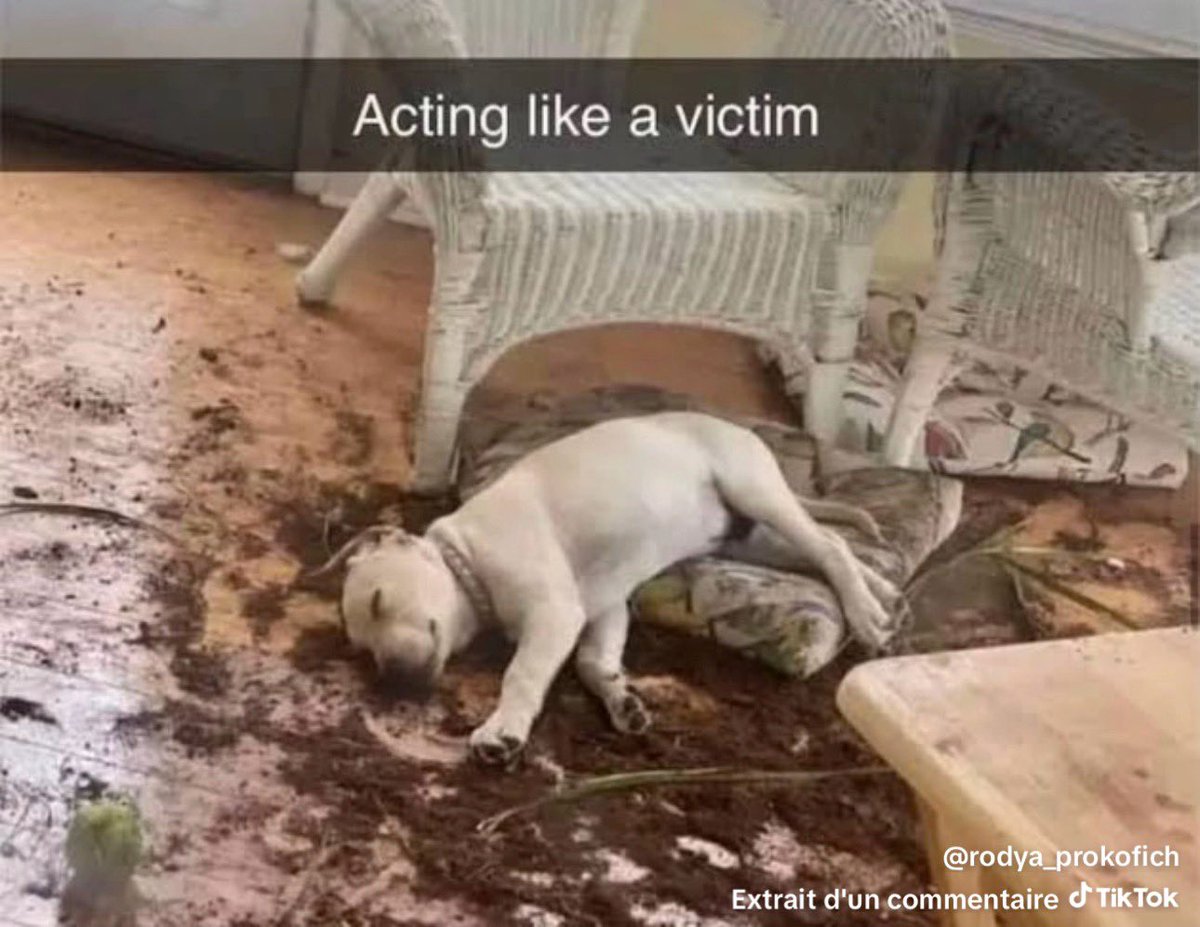 Kaladin :3 tweet media