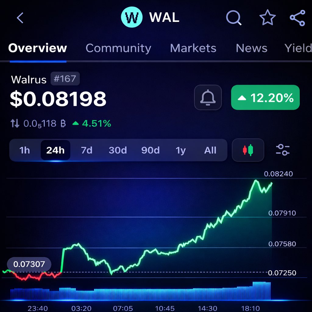 Winter Walrus 🦭/acc ❄️ tweet media