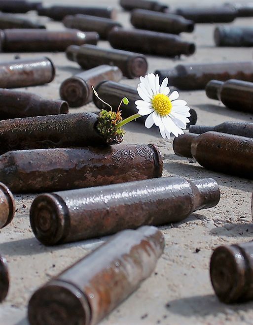 ³ᵗᵃʳᵉᵉ tweet media