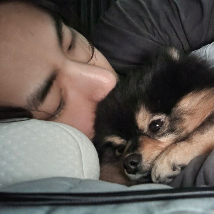 Fato curioso que nos enche de saudade:

O Yeontan é o primeiro cachorrinho de celebridade a ter sua própria fancam e o primeiro cachorrinho a ultrapassar 500M de visualizações no TikTok. A fancam do Yeontan durante a promoção de Layover foi incluída no "Top Fancams mais vistas