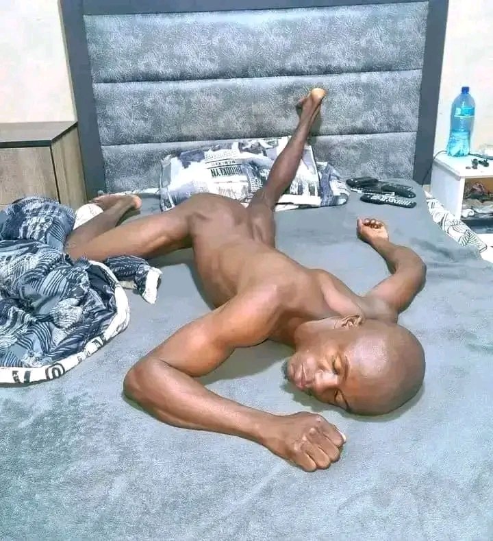 ๐๐ข๐ฒ๐ ๐ชพ tweet media