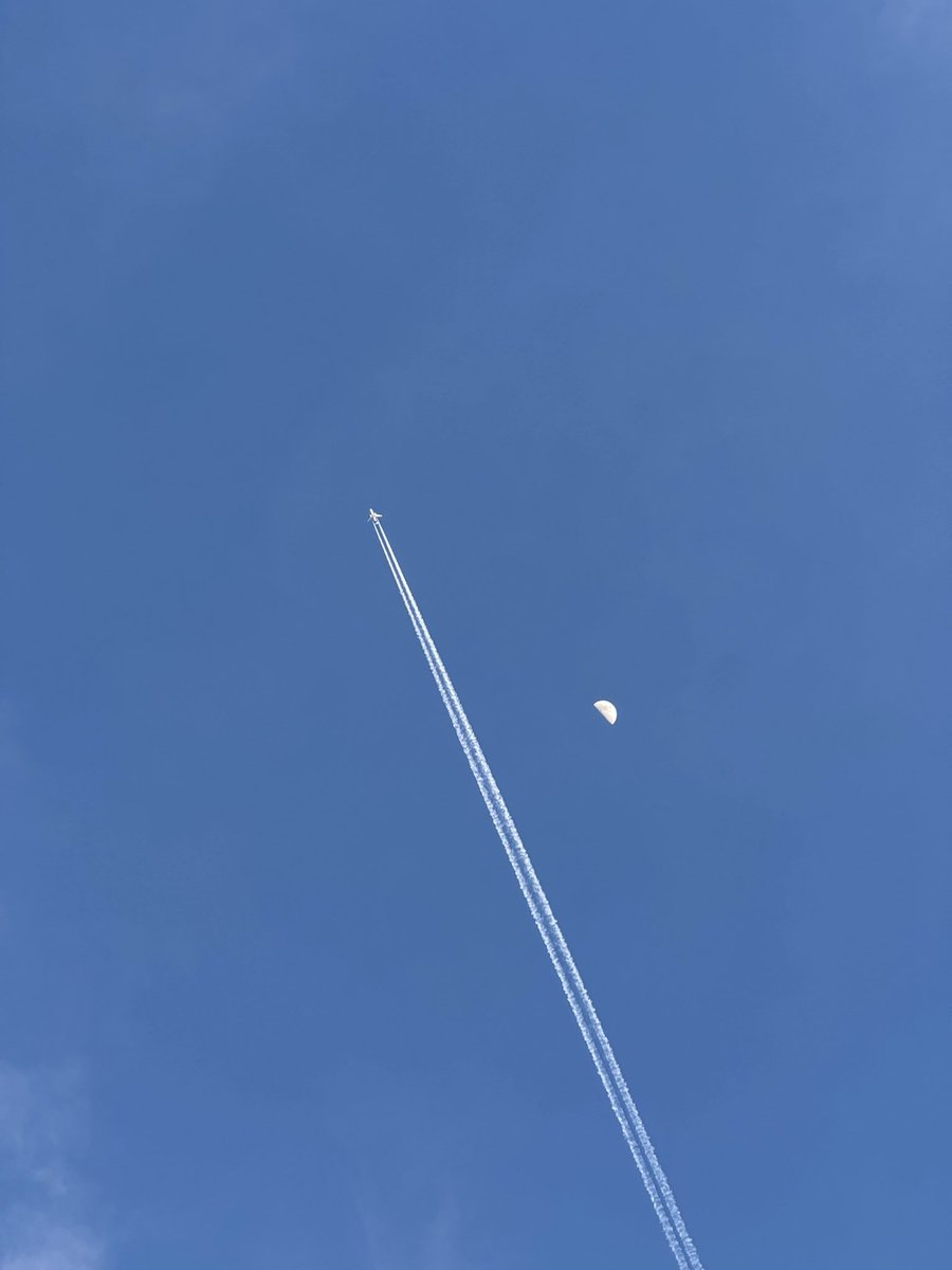 grapes 🍇 tweet media