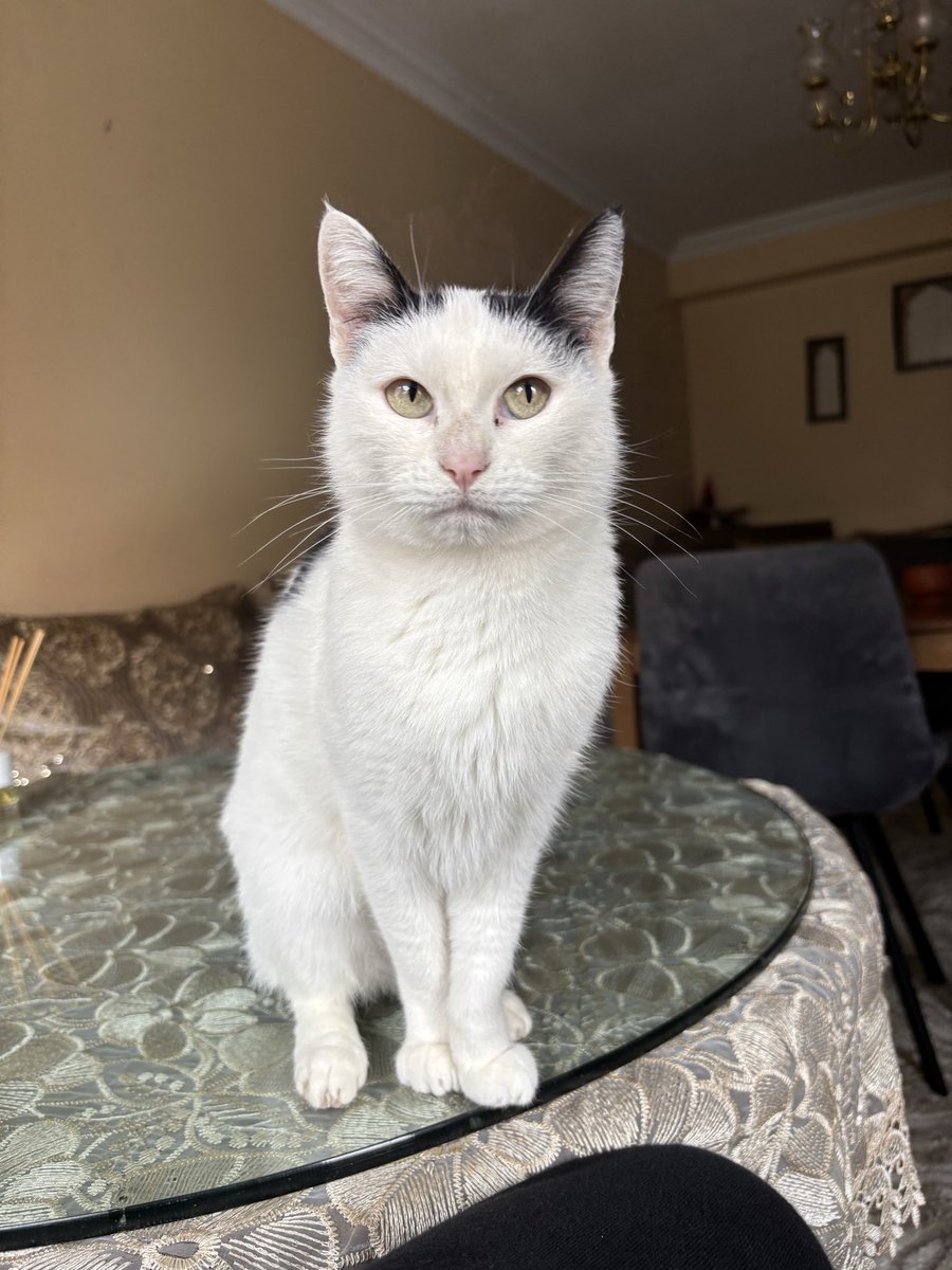 0€ (mi vecino tenía camadas todo el año)