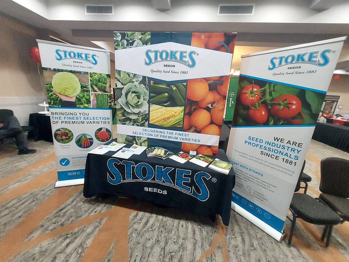 Stokes Seeds tweet media