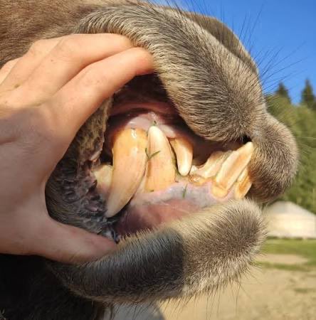 Titos & Vodka tweet media