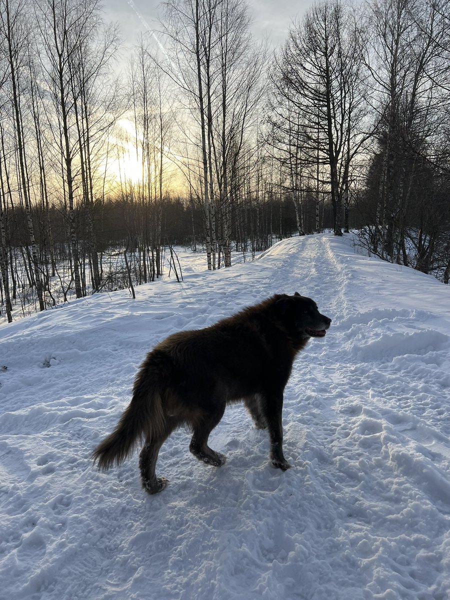 abaklya's tweet photo. а еще были оч классные выходные под питером💔 эта компания сложилась самым невероятным образом полтора года назад, когда 12 незнакомых человек оказались в одном месте, а затем единогласно и не сговариваясь, решили, что хотят дружить. каждая встреча и общение как групповая терапия https://t.co/b6SDmBCbFT