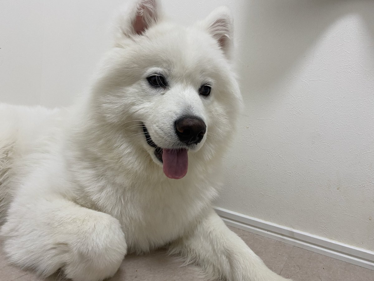 おハマ太郎ございます！