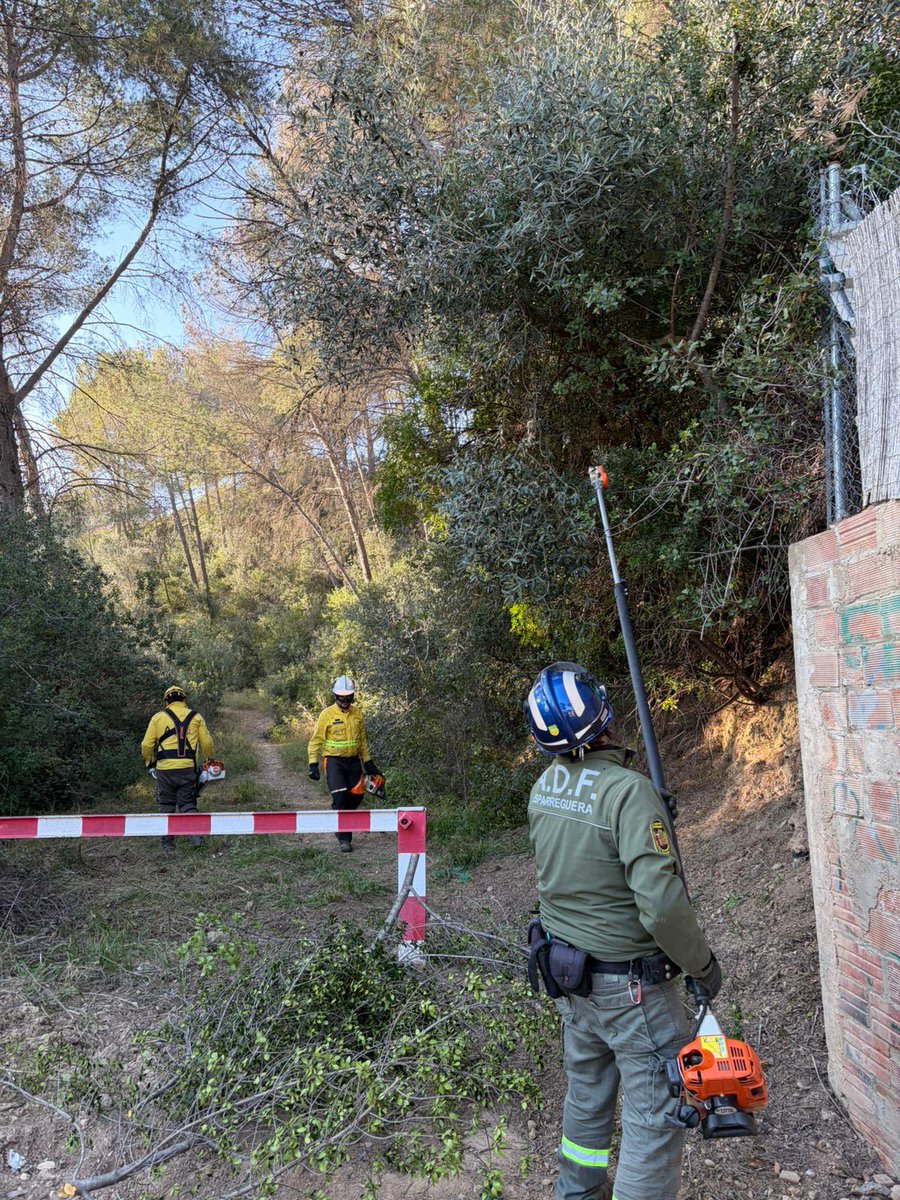 ADF175 Esparreguera🪵🔥🚨 tweet media