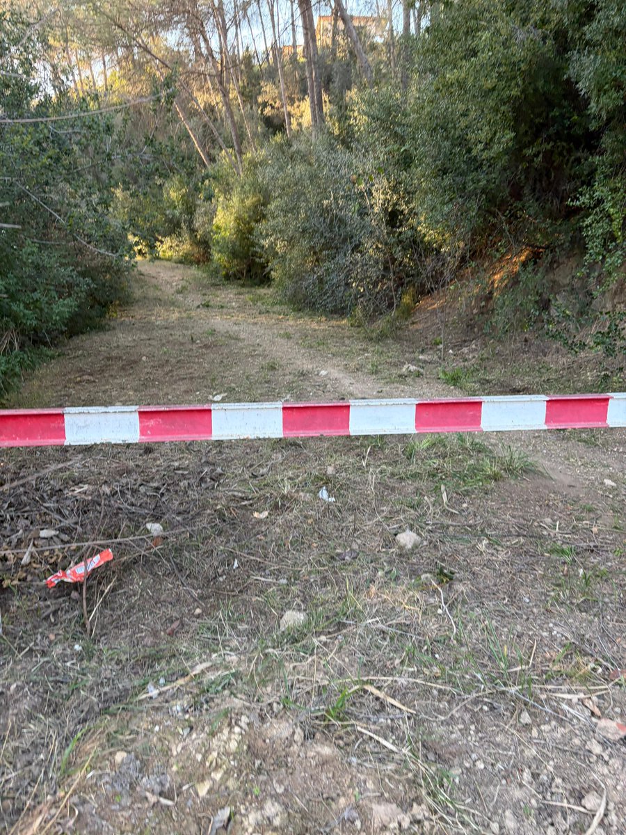 ADF175 Esparreguera🪵🔥🚨 tweet media