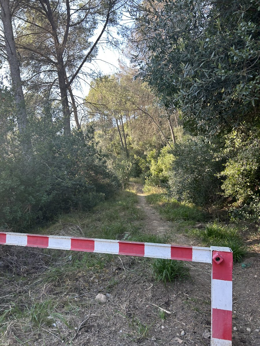 ADF175 Esparreguera🪵🔥🚨 tweet media