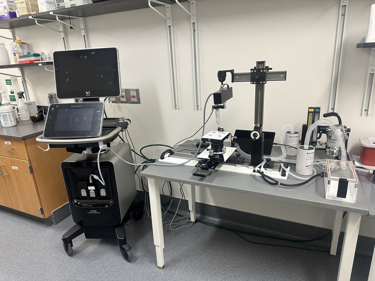 Dr. Chi Fung Lee tweet media