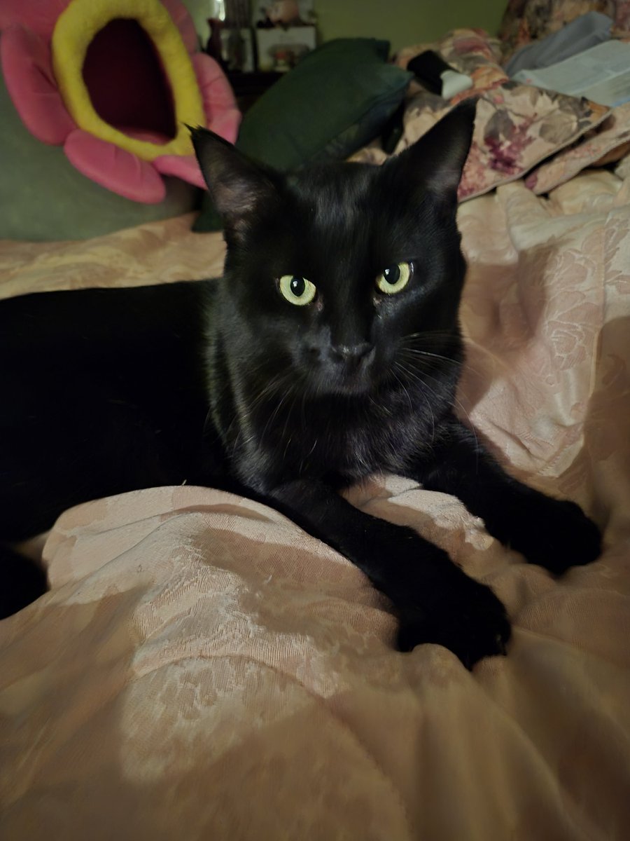 Child of God tweet media