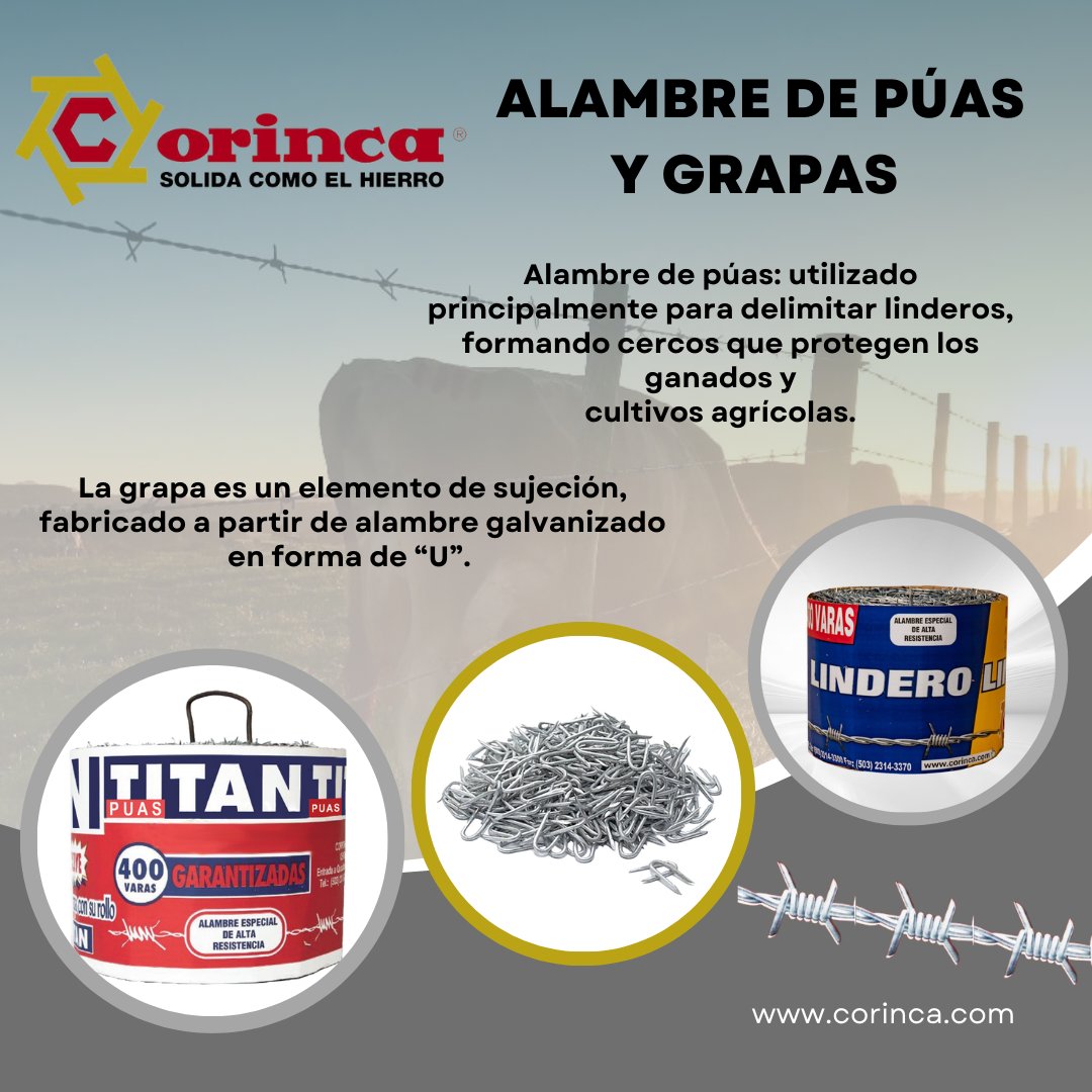 corincasadecv's tweet photo. La combinación perfecta si existe 📷

Alambre de Púas + Grapas, ideal para tener tus terrenos cercados.
Capaz de soportar ambientes agresivos y con la combinación de la grapa que hace un efecto de sujeción ya que su doblado va en forma de "U".

#CORINCA #grapas #púas https://t.co/8QXcHizJ9H