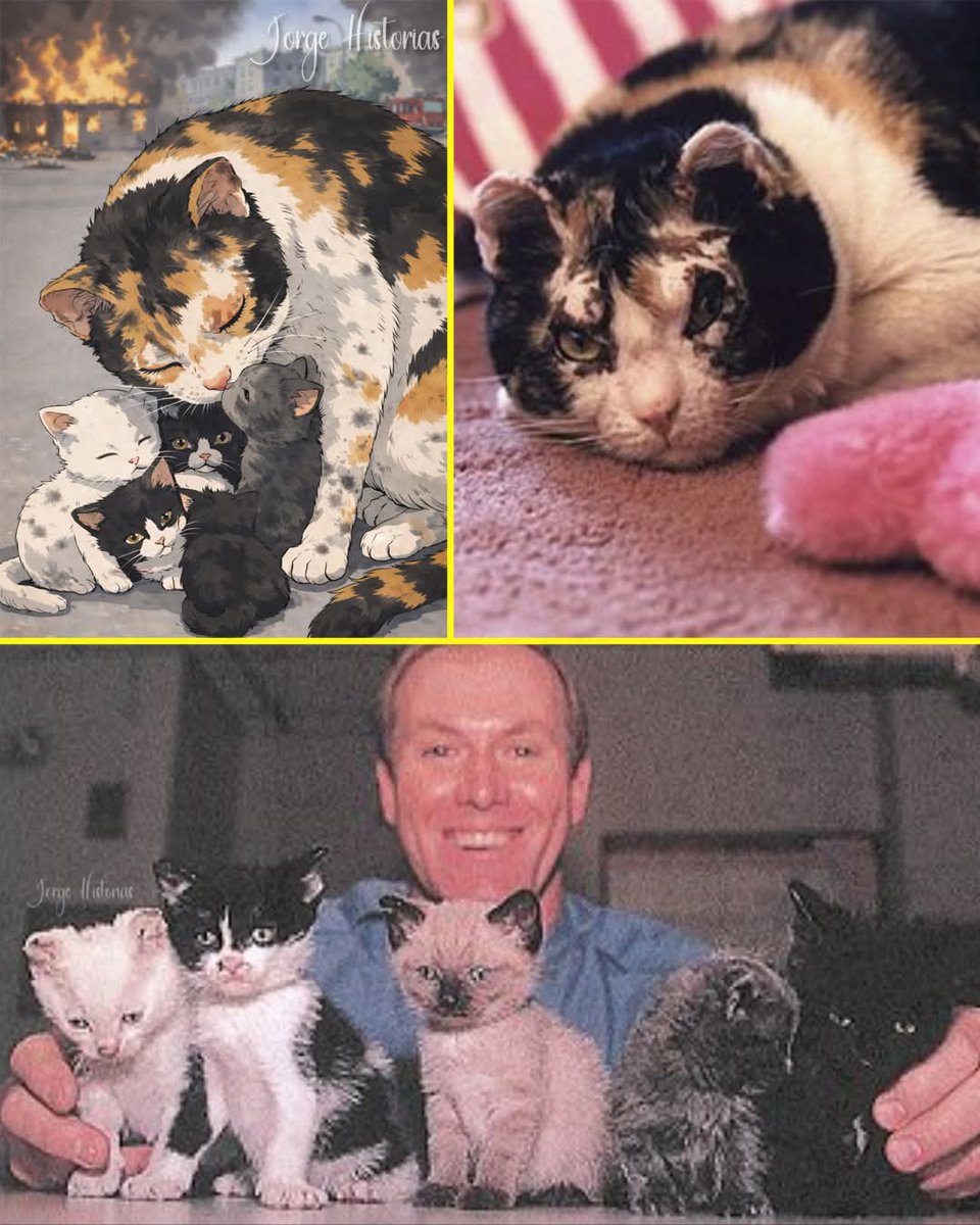 Animalitos en aprietos. tweet media