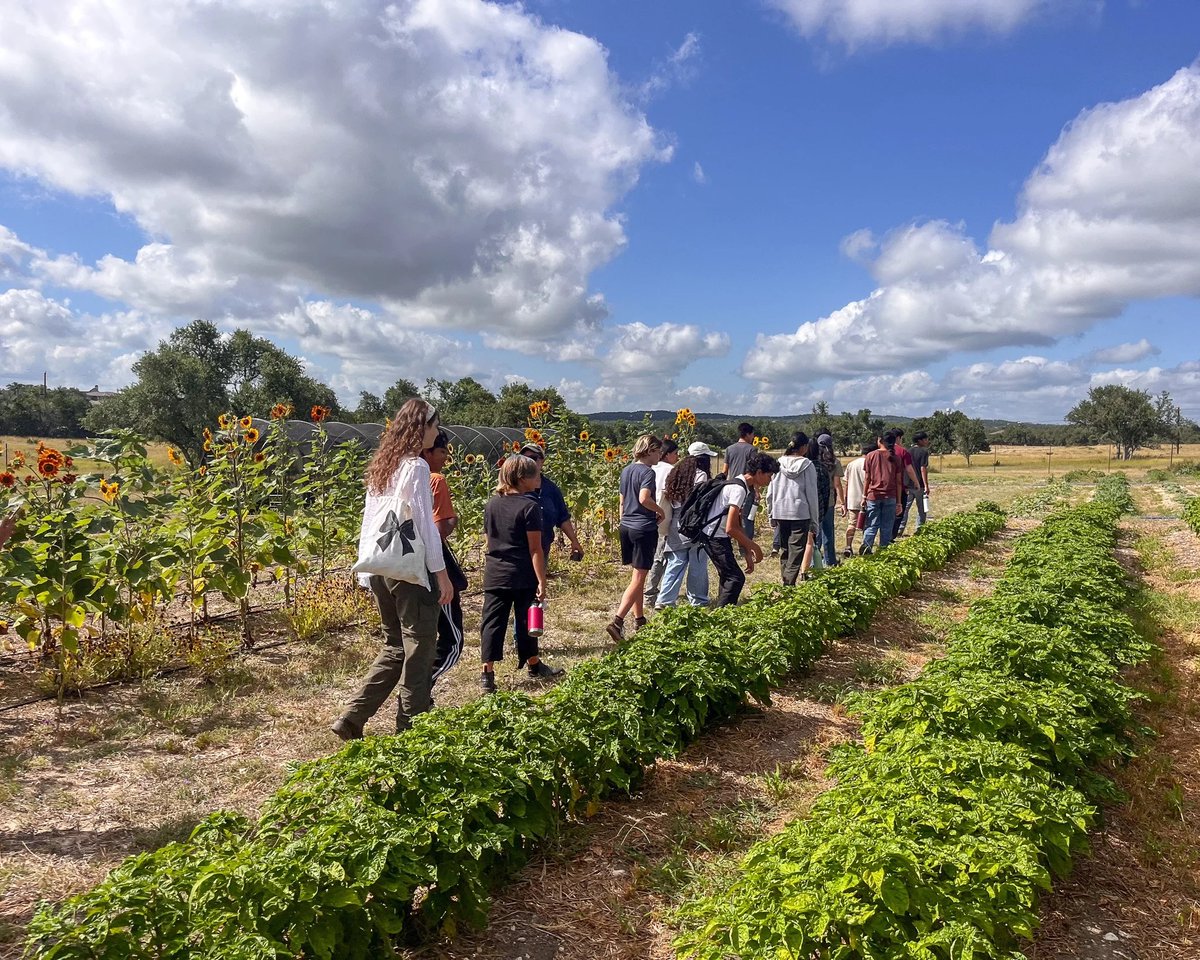 Caliterra tweet media