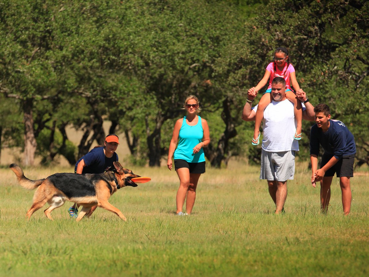 Caliterra tweet media