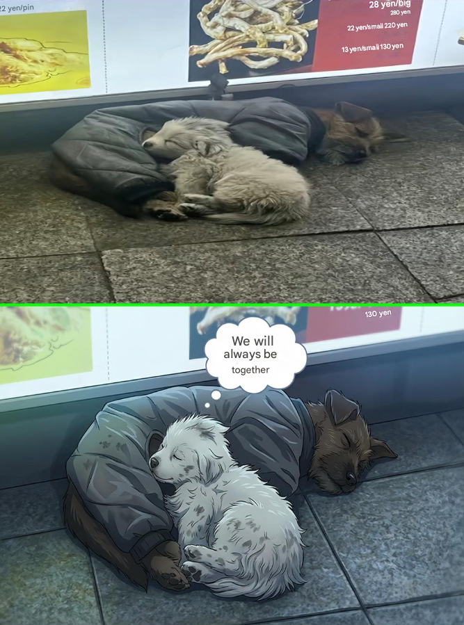 They just have each other 🐕🐶
Two small bodies huddled up on a street corner, covering themselves with an old jacket as if it were their only wall against the cold. The night fell heavy, the ground icy, and the world kept walking without looking.
No one called them by their