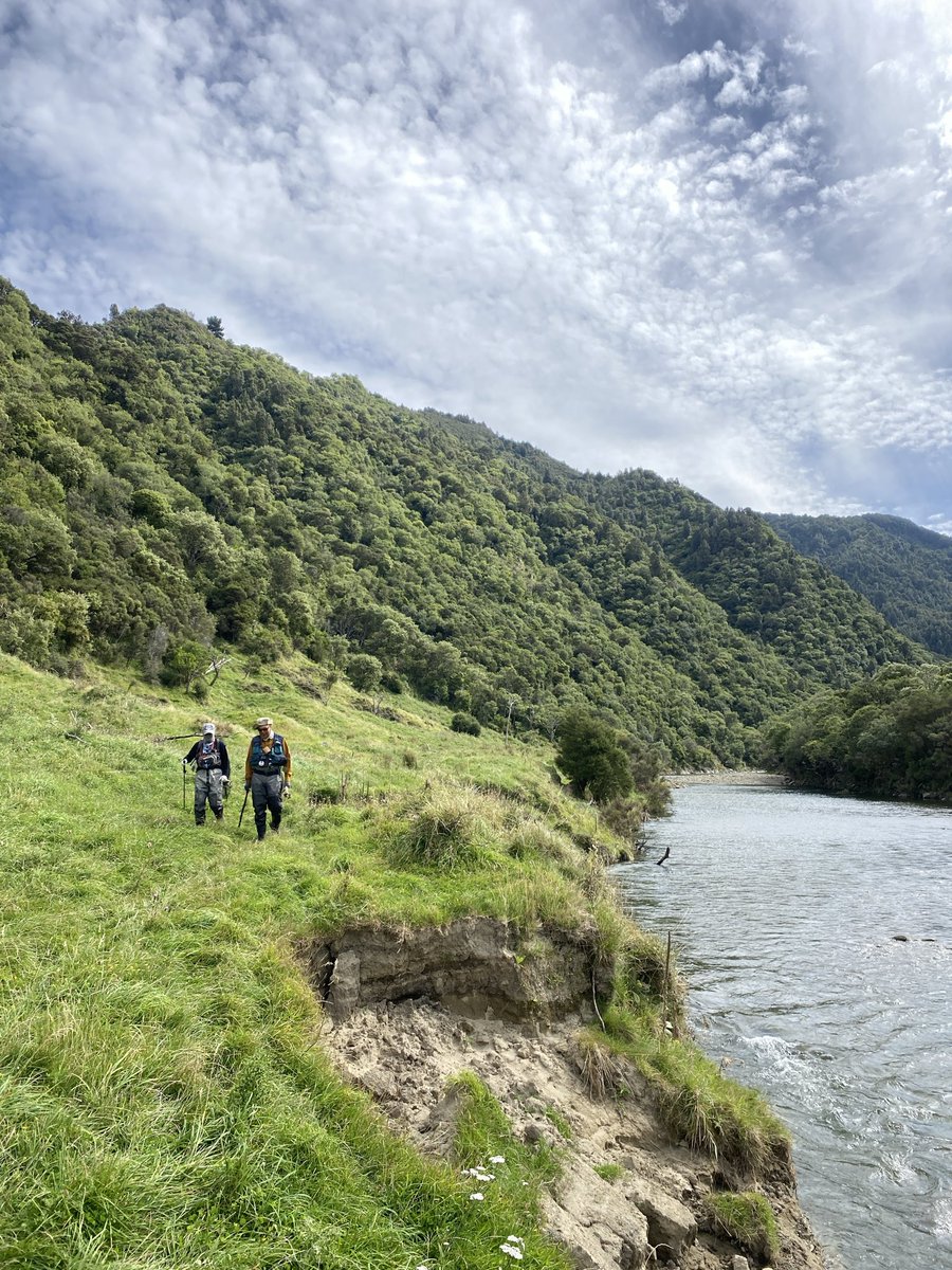 Shingo Matsui tweet media