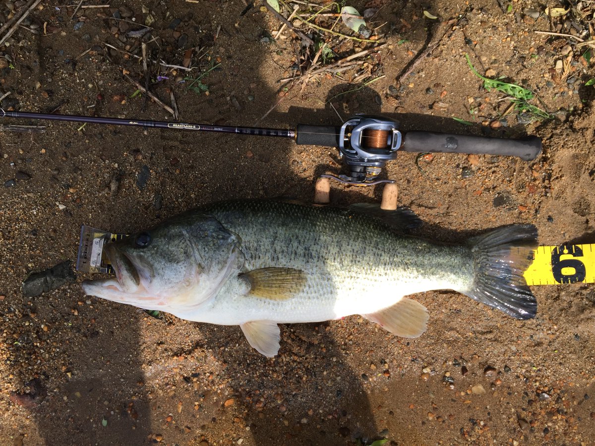 PEI@YODOGAWA (@YODOGAWAPEI) / Posts / X