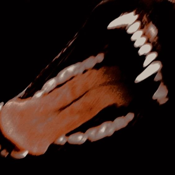 brrbadumtss's tweet photo. —— 𝐄𝐋 𝐋𝐎𝐁𝐎.

TW: Contiene escenas de abuso, violencia familiar y sangre. Si eres susceptible o no te sientes comod@ con estos temas, te recomiendo evitar la lectura. https://t.co/sVMkm1tiCt