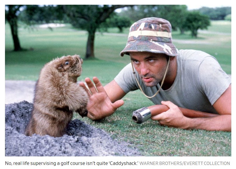 EnviroSol1's tweet photo. What Golfers Should Know About Golf-Course Maintenance:

About all many golfers know about course superintendents is what they saw in ‘Caddyshack.’ They are missing out …

https://t.co/Wd0Wfr0ydd

#golf #golfcourse #golfcoursemaintenance https://t.co/rlrIScOAlx