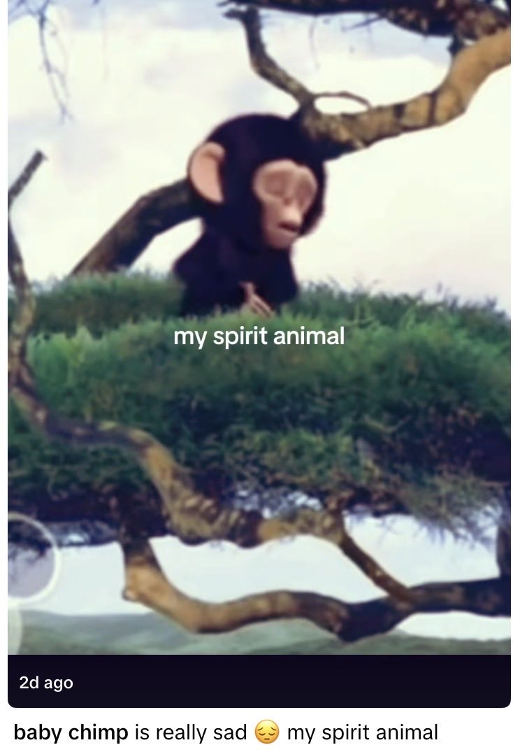 Baby Chimp (@babychimppump) / Posts / X