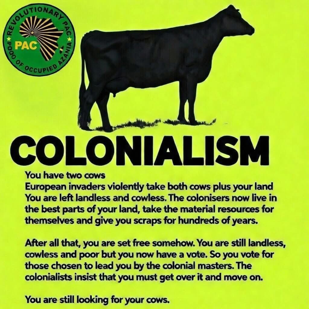 You cannot be forced to vote for what is yours.

One Settler One Bullet