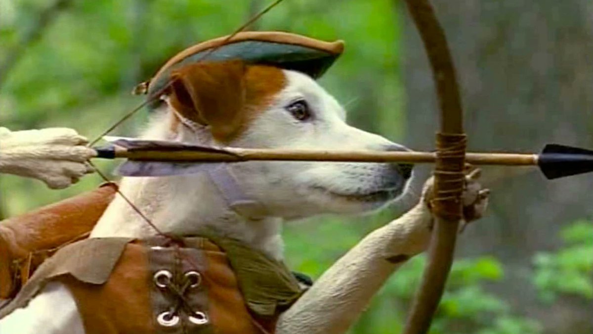 Boze Herrington, Library Owl 😴🧙‍♀️ tweet media