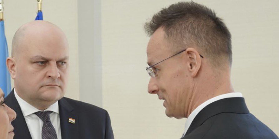 Dzim🇭🇷 tweet media