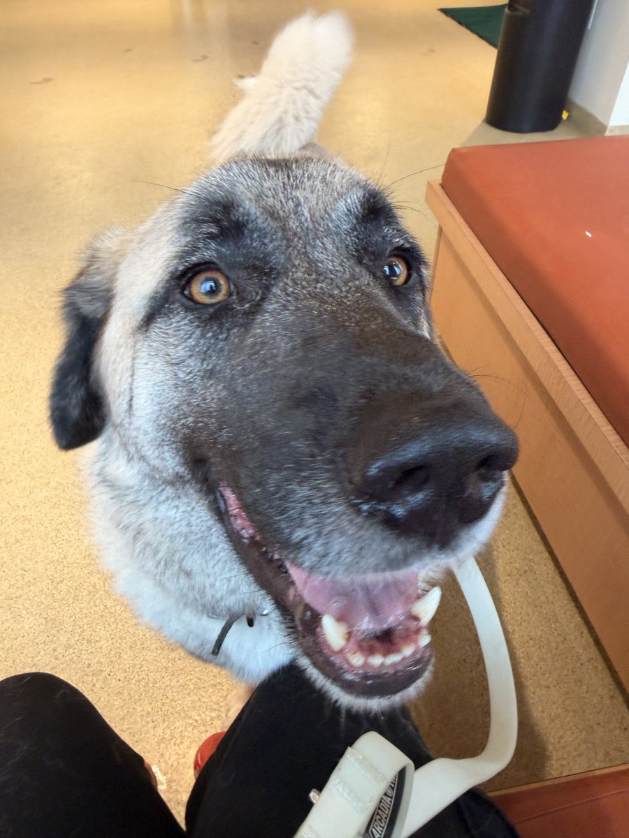 Oatmeal 🥣 tweet media