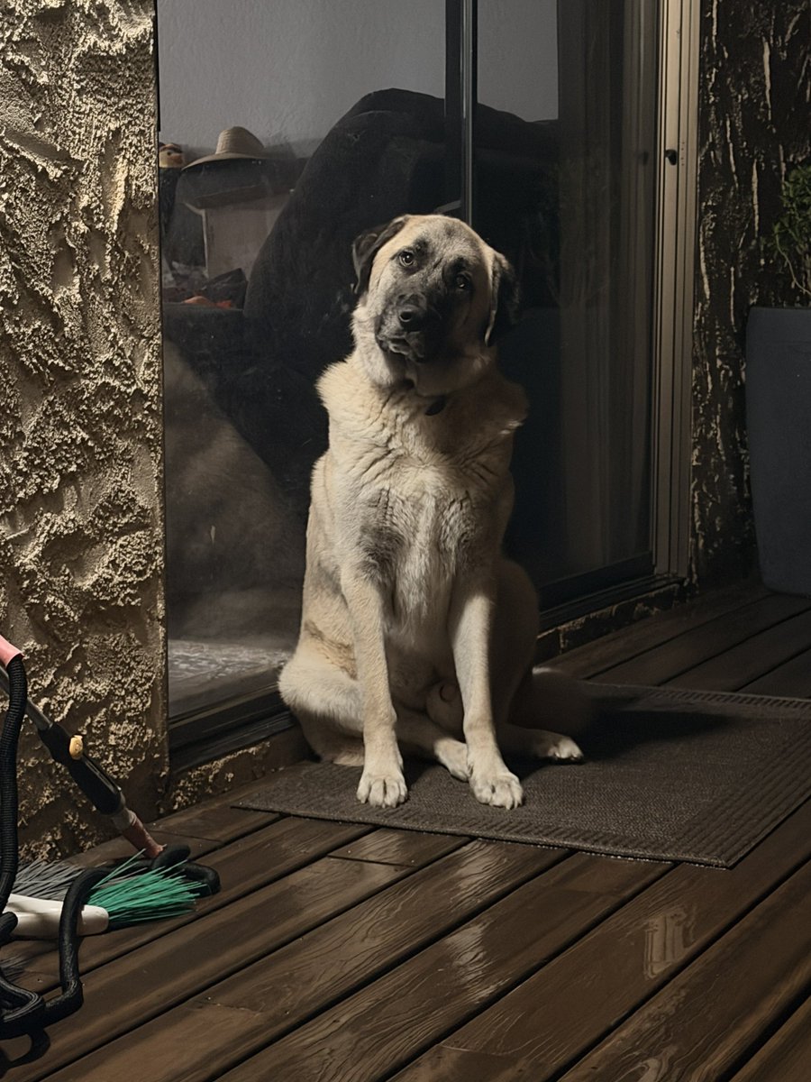 Oatmeal 🥣 tweet media