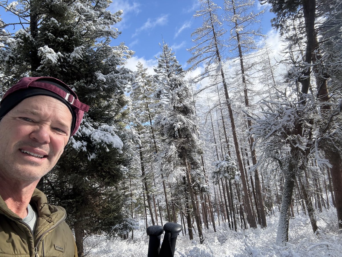 Michael Punke tweet media