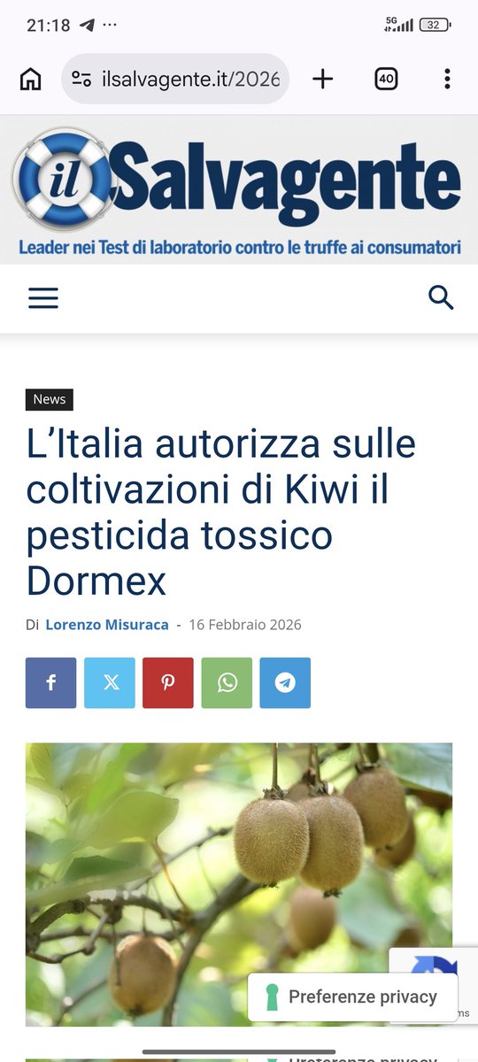 Tina Stella 💚⚪♥️ tweet media