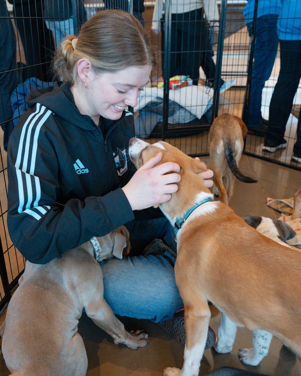 Minnesota United FC tweet media