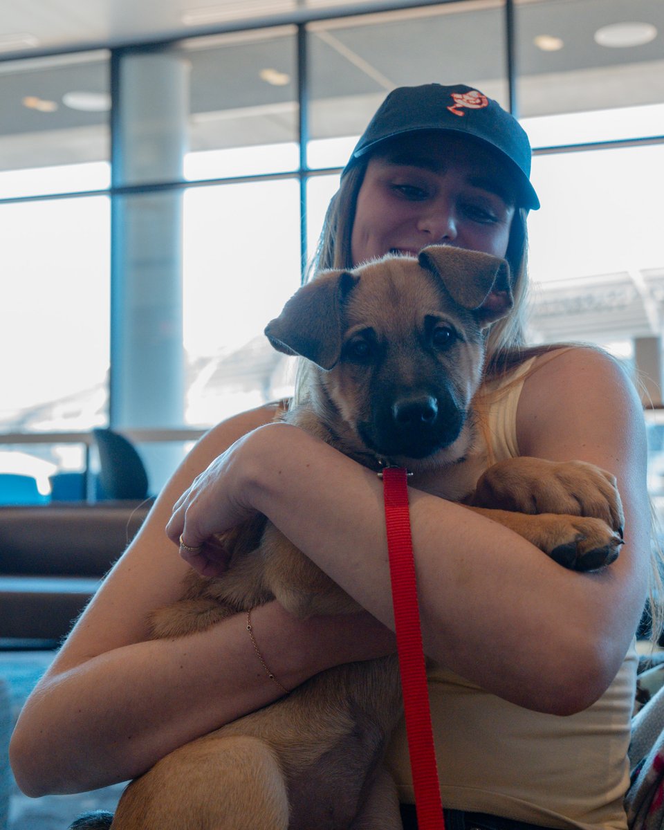 Minnesota United FC tweet media