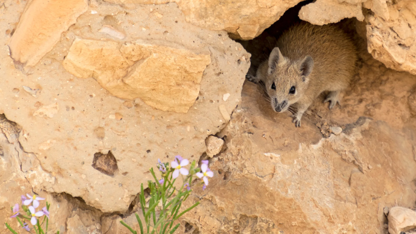 Yale Center for Research on Aging (Y-Age) tweet media