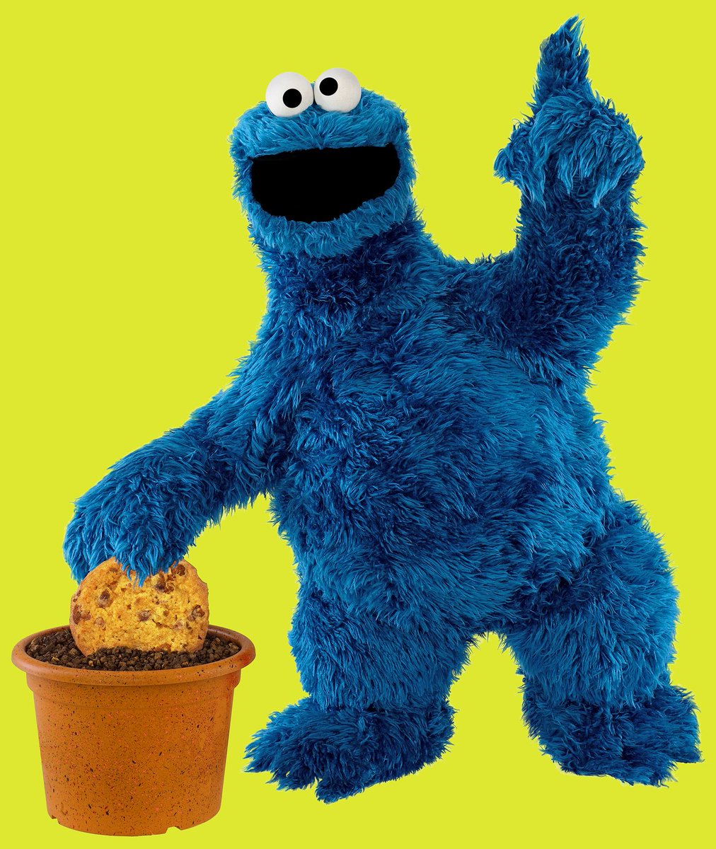 セサミストリート公式 tweet media