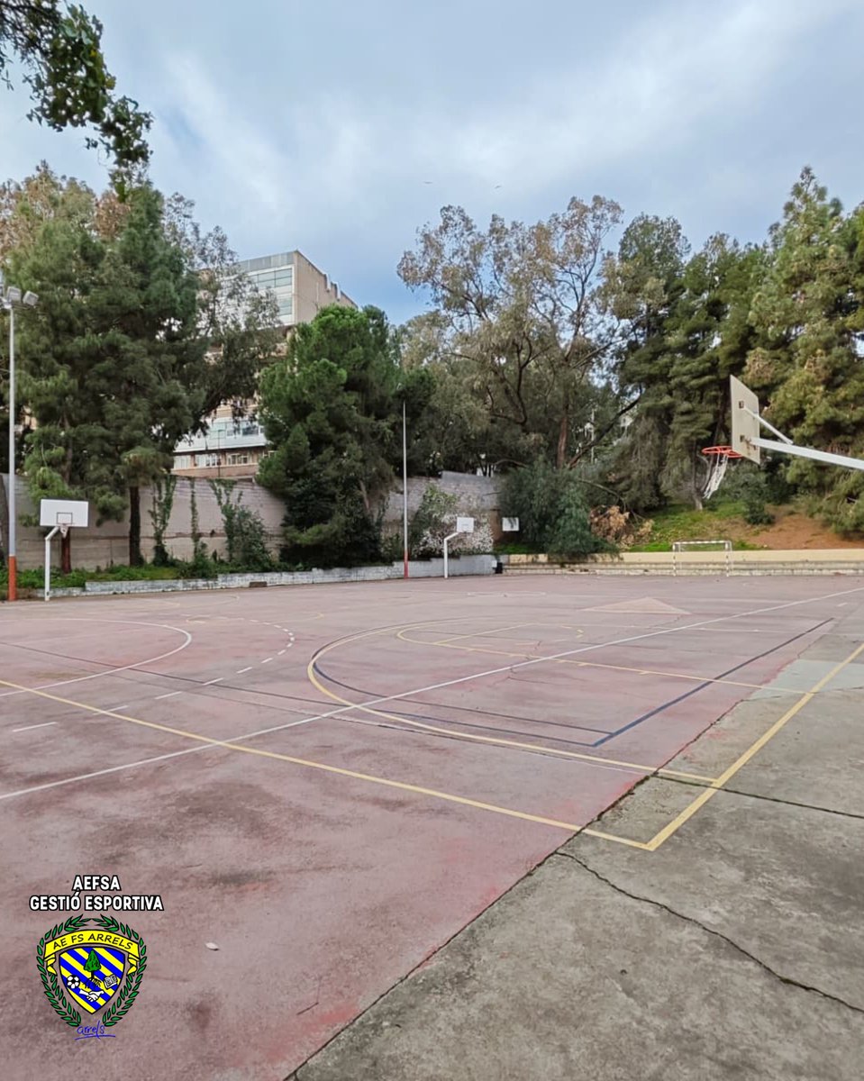 Associació Esportiva Futbol Sala Arrels tweet media