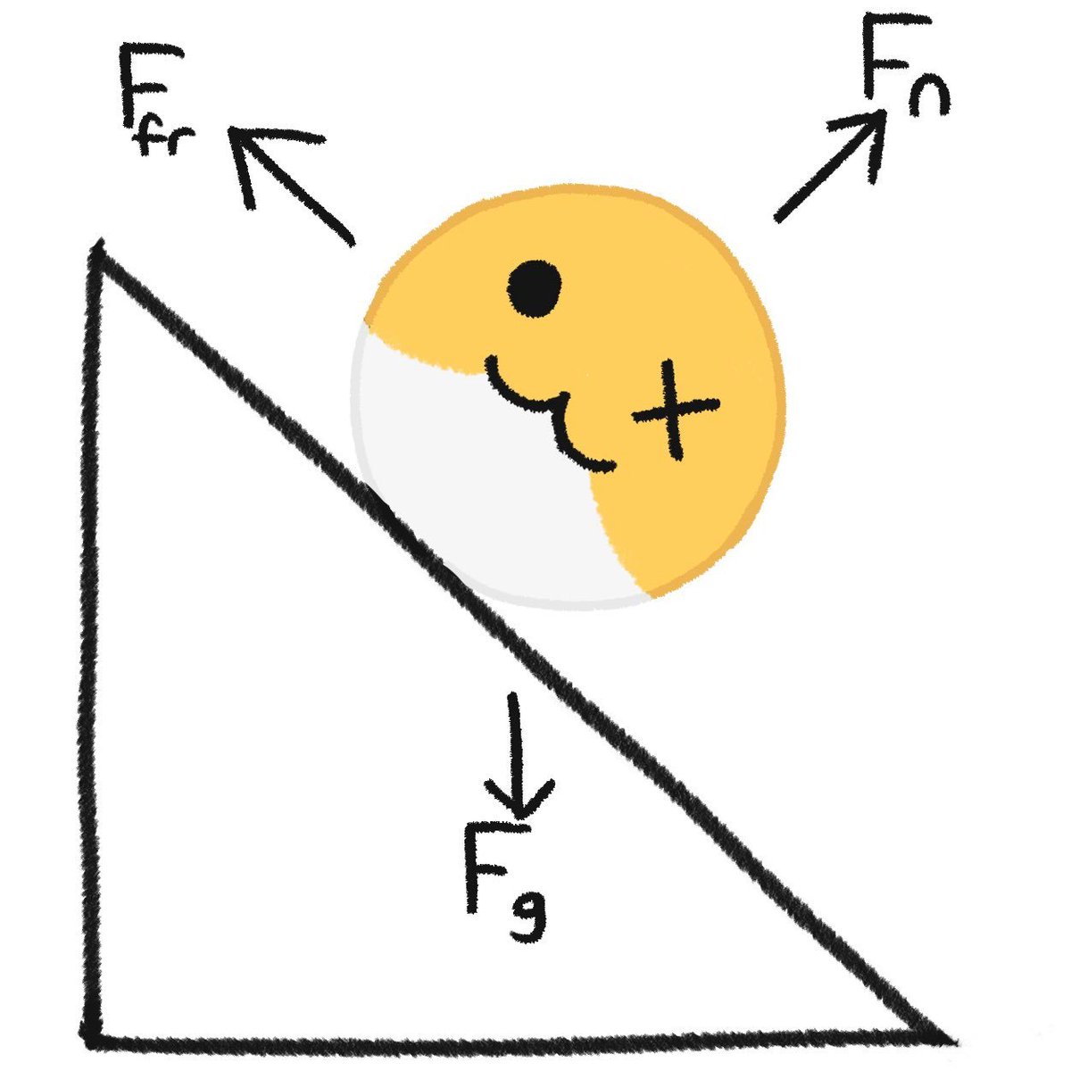 Daily Shoebox News tweet media