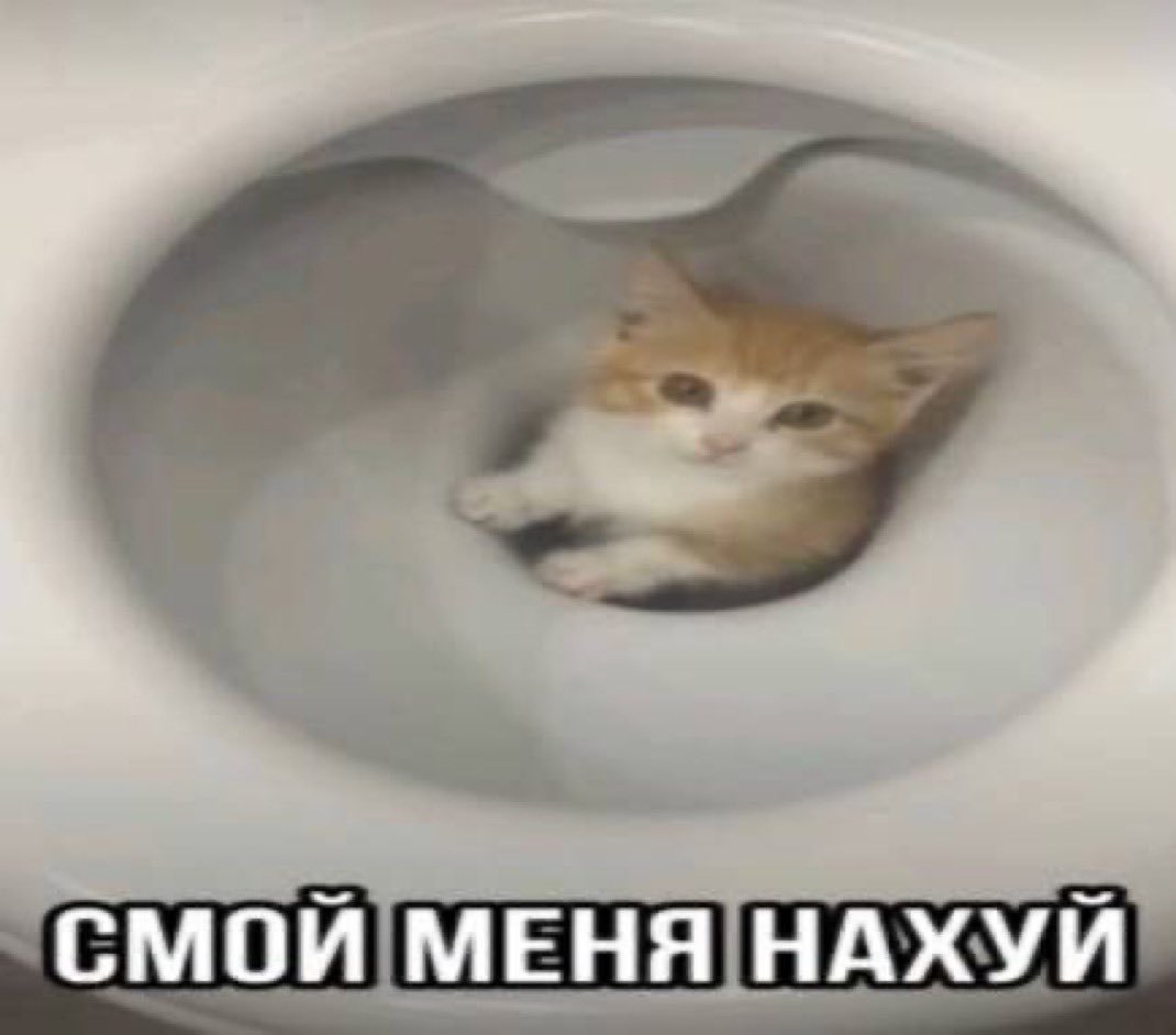 понятно твиттер кинул меня в теневой бан