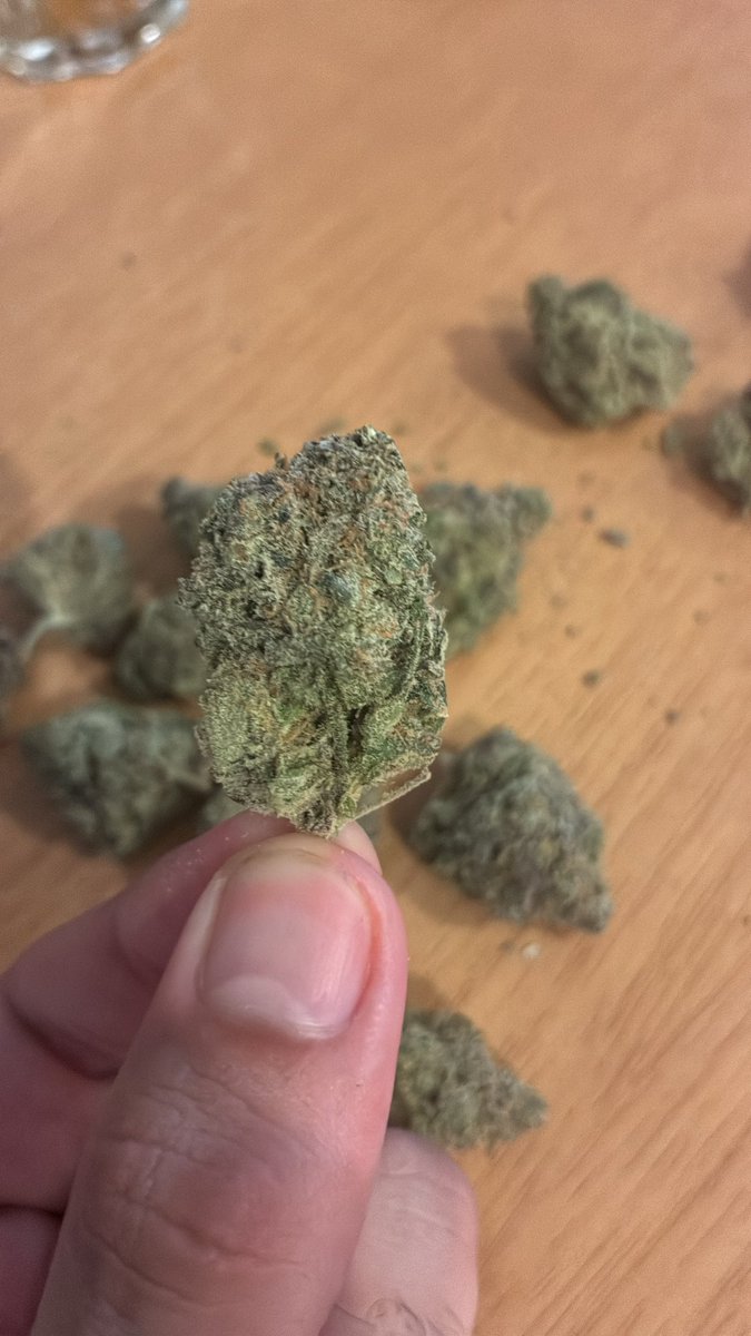 Dr. Sativa - Cannabis Medicinal tweet media