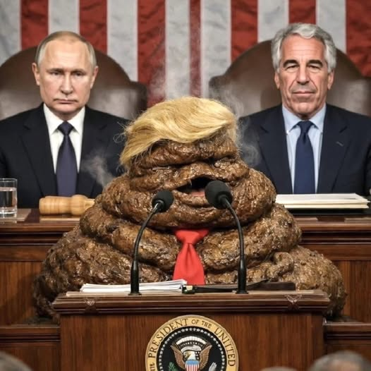 Broncos Rule & FUCK TRUMP tweet media