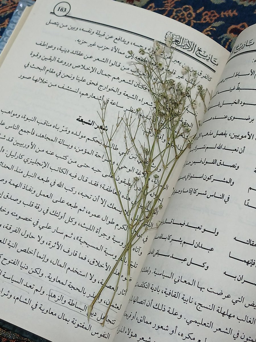 مِشْكَاة للقراءة tweet media