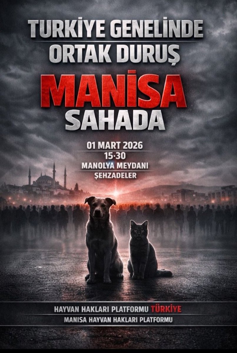 Her şehirde halk katliamlara dur demek için sokaklara çıkıyor…
#7527İptalEdilsin