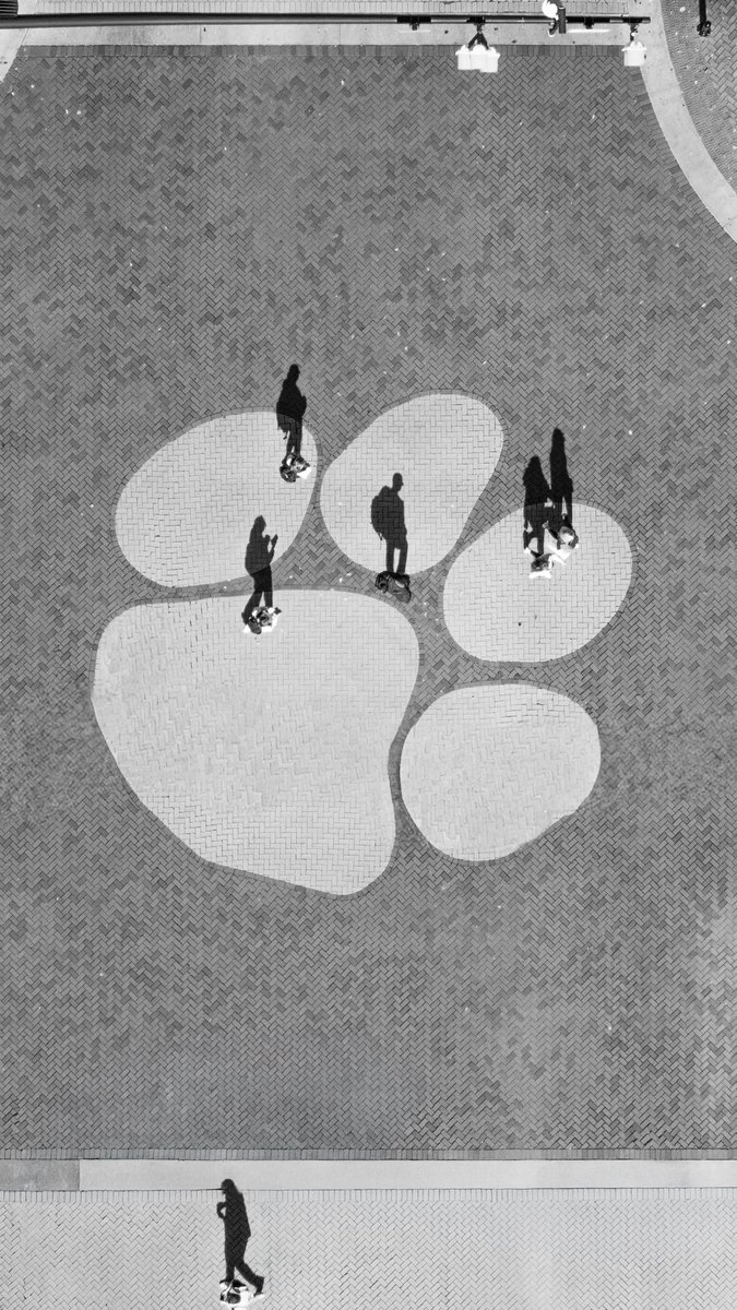 Auburn University tweet media