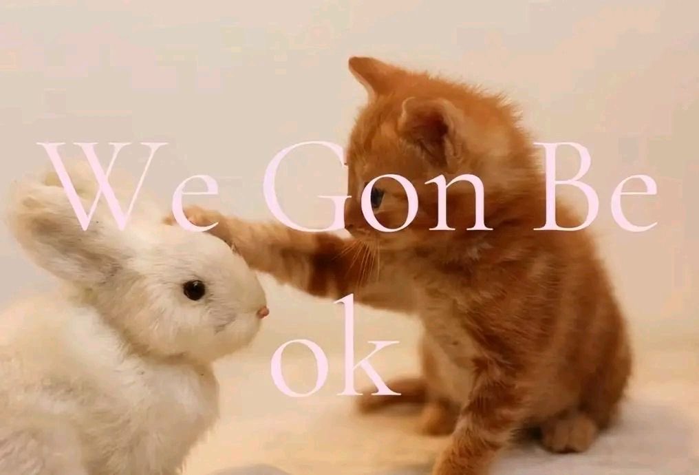 Star Slop (@starslopped) on Twitter photo 