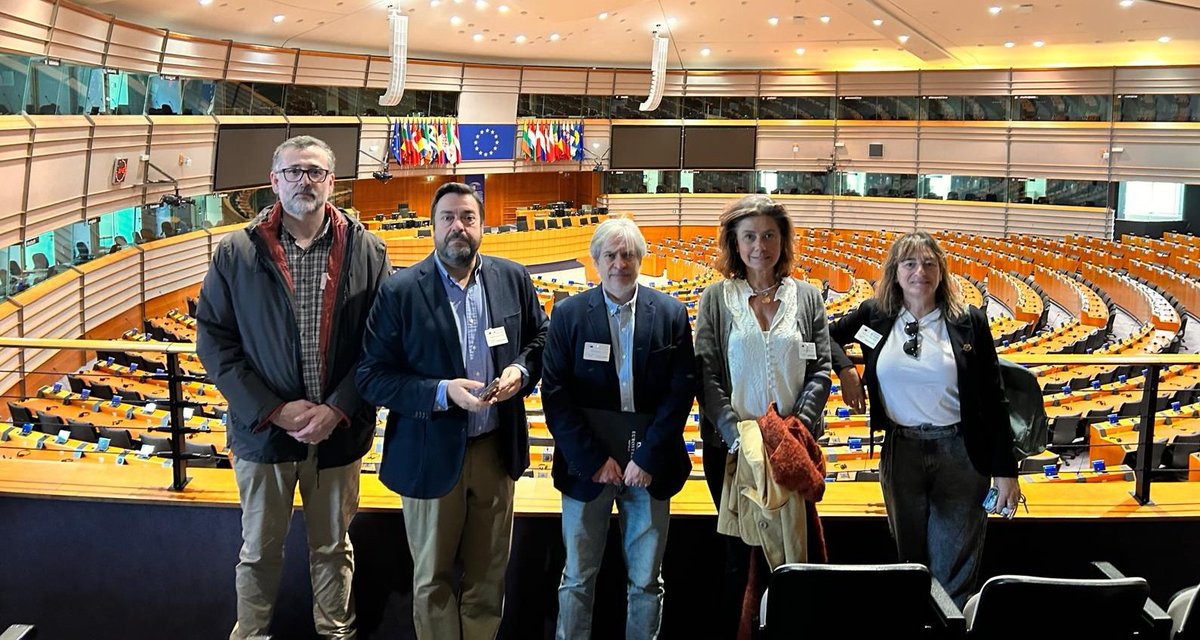 El <a href="/Europarl_ES/">Parlamento Europeo en España</a> investigará el #MegaCantón de #Montecarmelo x afectar a los dchos fundamentales de protección de la infancia y medio ambiente ‼️ Todos los grupos excepto el <a href="/ppopular/">Partido Popular</a> han votado a favor

GRACIAS de 💛 a los padres que hoy han defendido lo que es justo en Bruselas